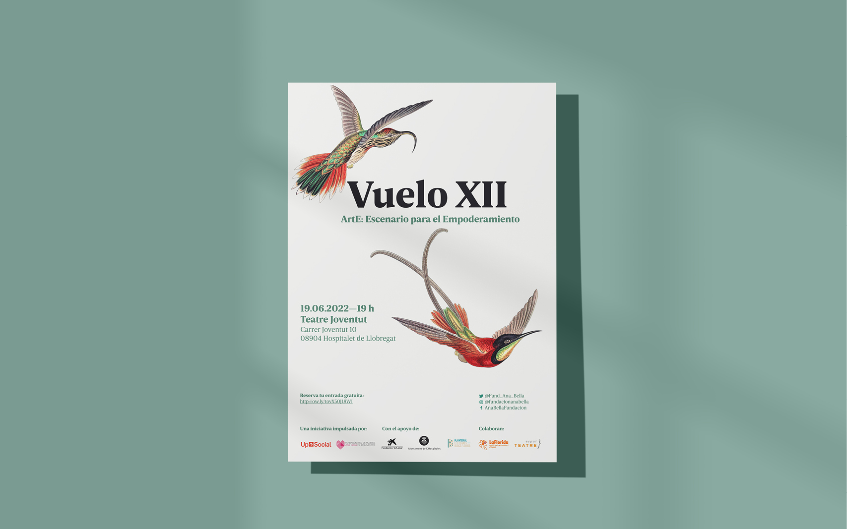 Poster Vuelo XII
